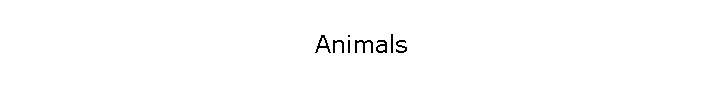 Animals