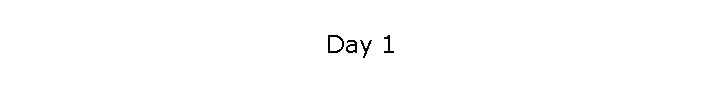 Day 1